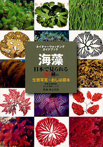 海藻 日本で見られる388種の生態写真+おしば標本/阿部秀樹/野田三千代海藻おしば神谷充伸