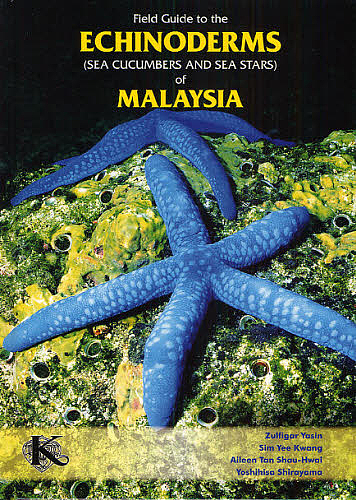 Field Guide to the ECHINODERMS〈Sea Cucumbers and Sea Stars〉of MA
